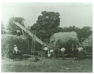 Haymaking-300x239.jpeg