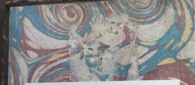 The remains of a bookplate .jpg